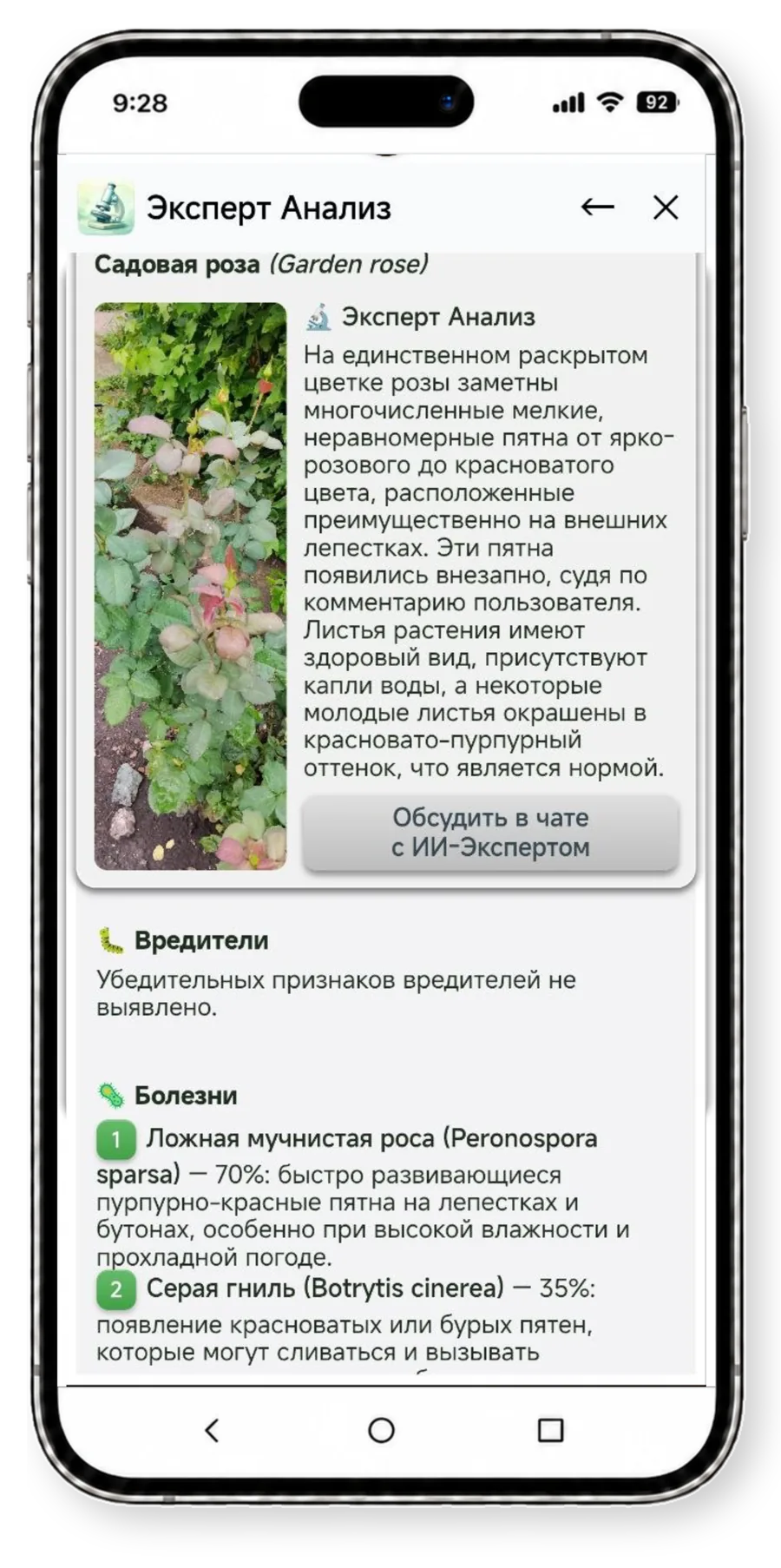 Эксперт-анализ Plantify